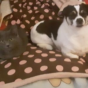 Meet your Posher, Carrie